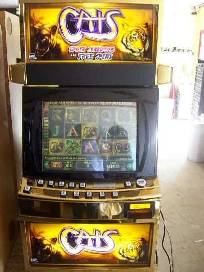 IGT Cats (I+ 044) refurbished slot machine for sale