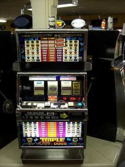 IGT S2000 Triple Cats & Dogs 3 Coin (9-top) refurbished slot machine for sale