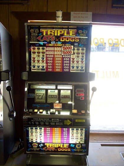IGT S2000 Triple Cats And Dogs refurbished slot machine for sale