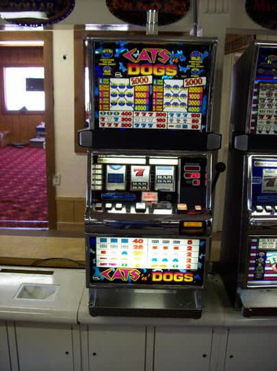 IGT S2000 Cat & Dogs refurbished slot machine